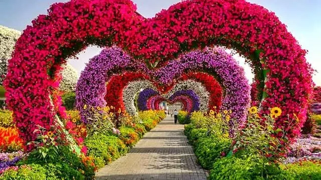 Miracle Garden Turu
